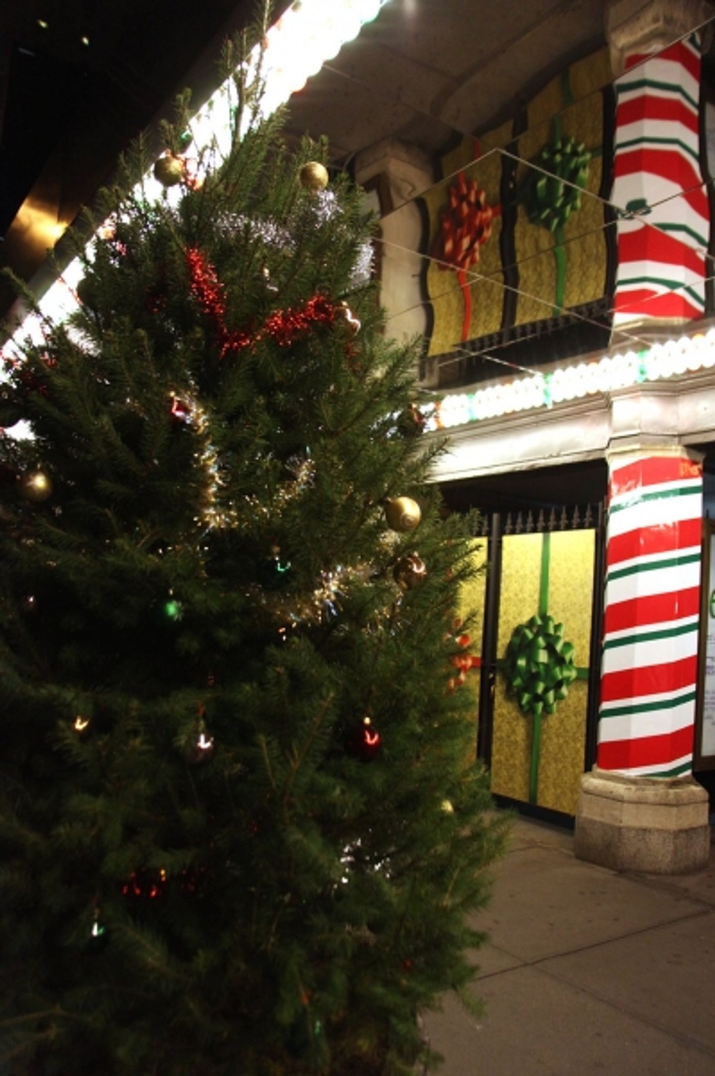 Photo Coverage: ELF Opening Night Red Carpet  Image