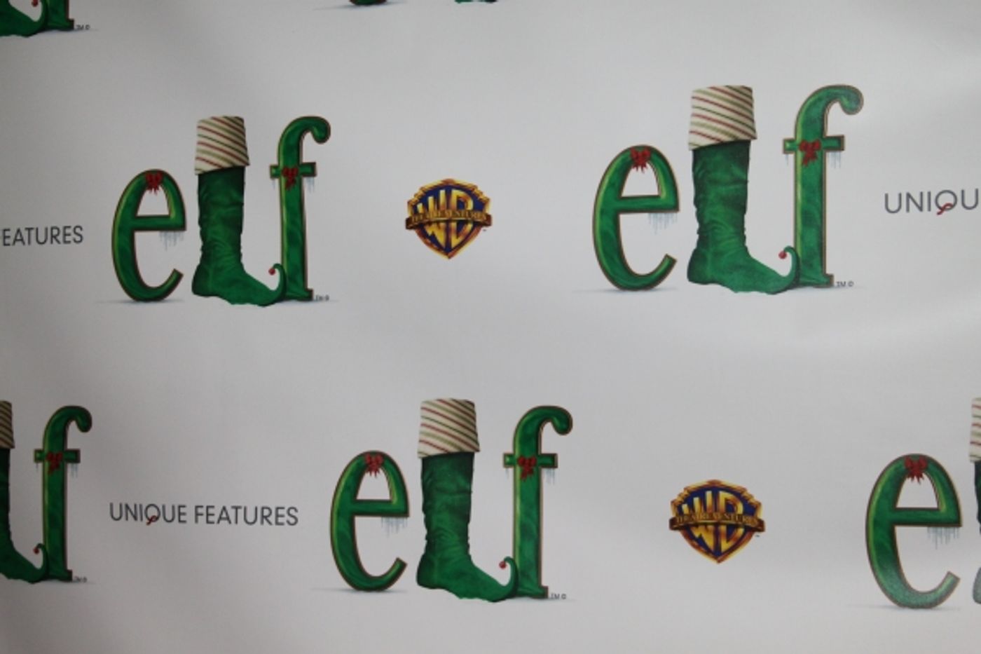 Photo Coverage: ELF Opening Night Party  Image