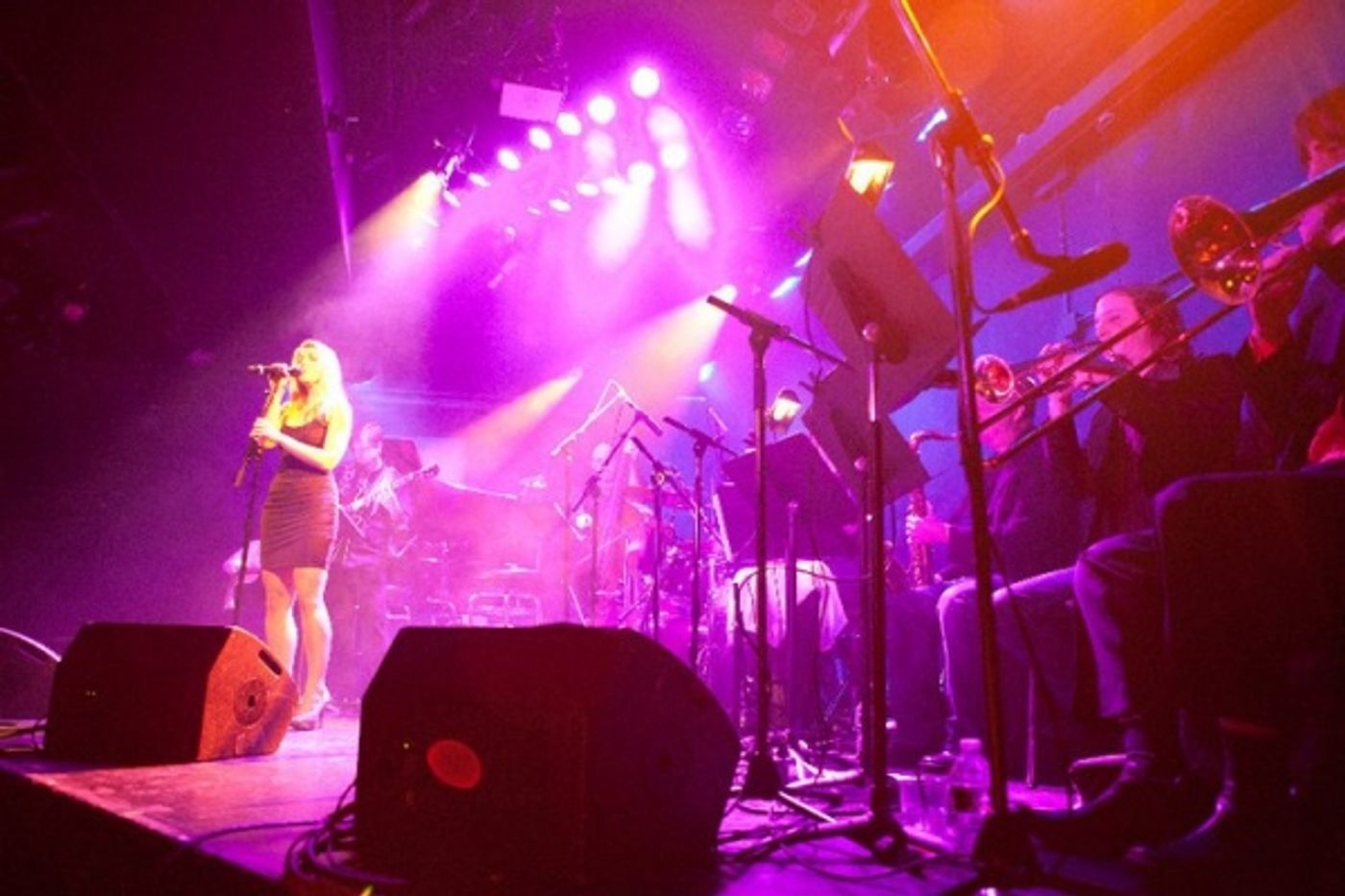 Photo Flash: Morgan James Plays Le Poisson Rouge  Image