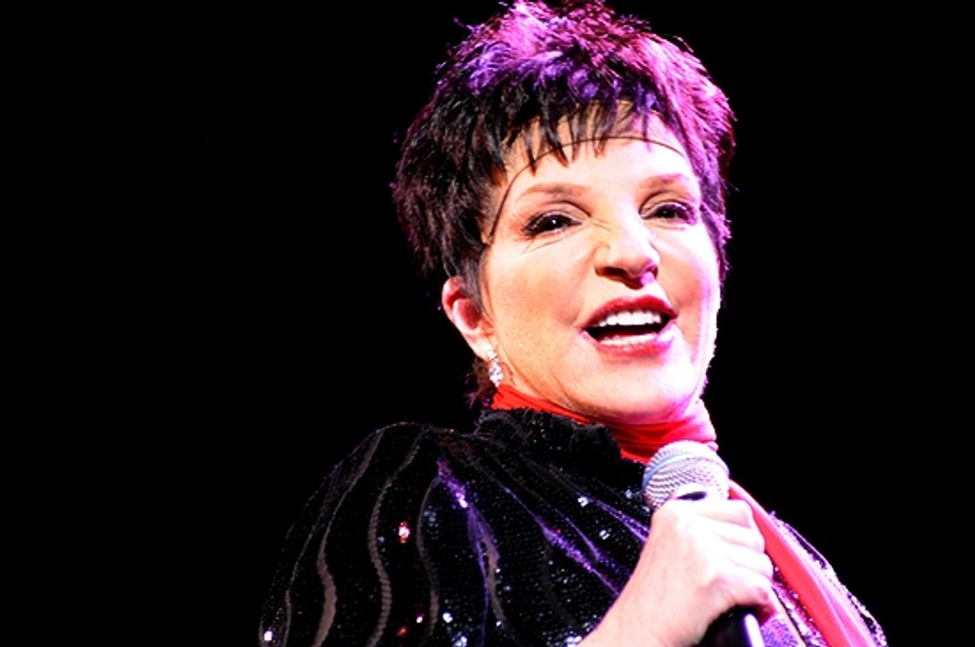 Photo Coverage: Liza Minnelli Returns to the Concert Stage!  Image
