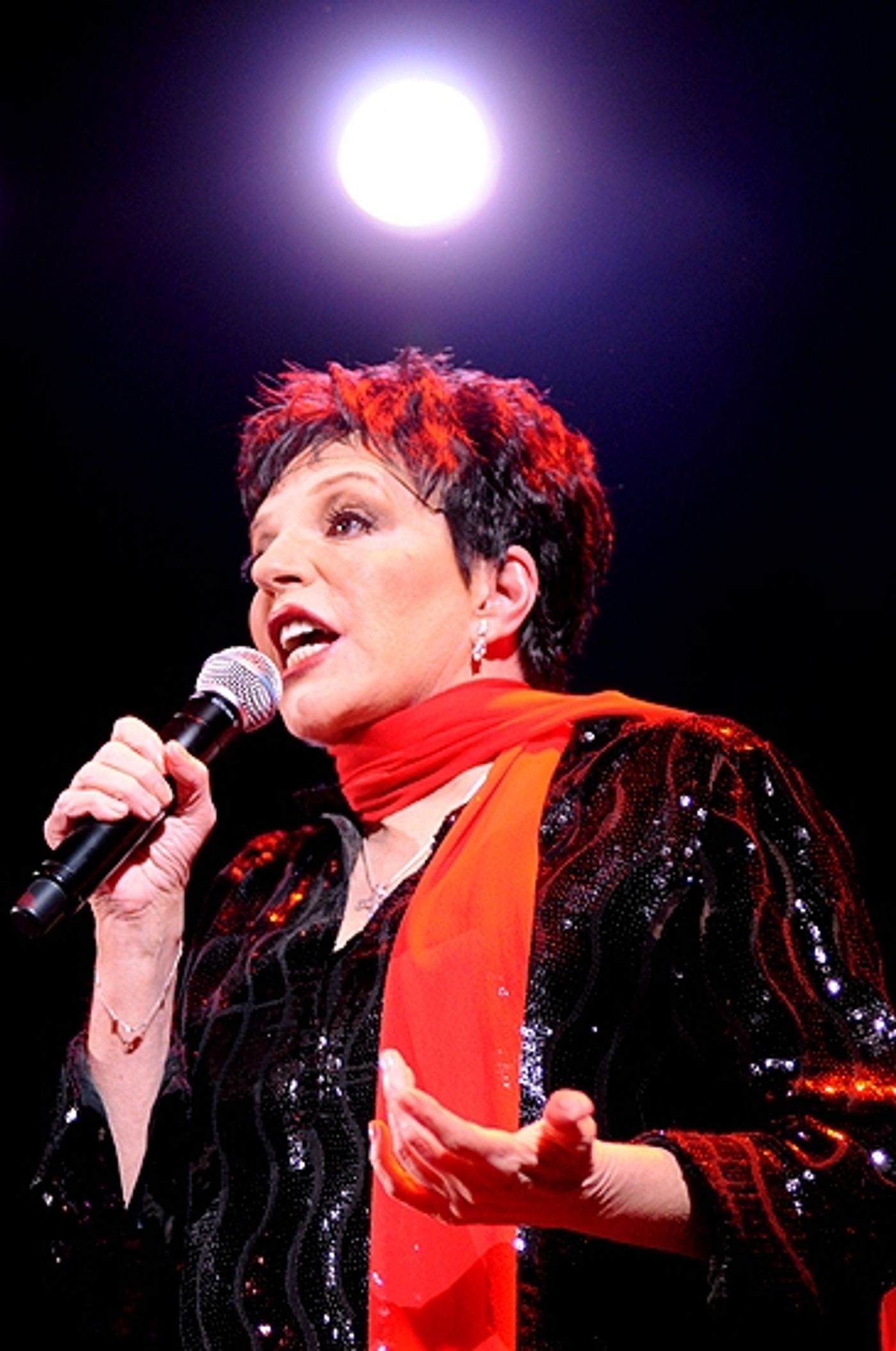 Photo Coverage: Liza Minnelli Returns to the Concert Stage!  Image