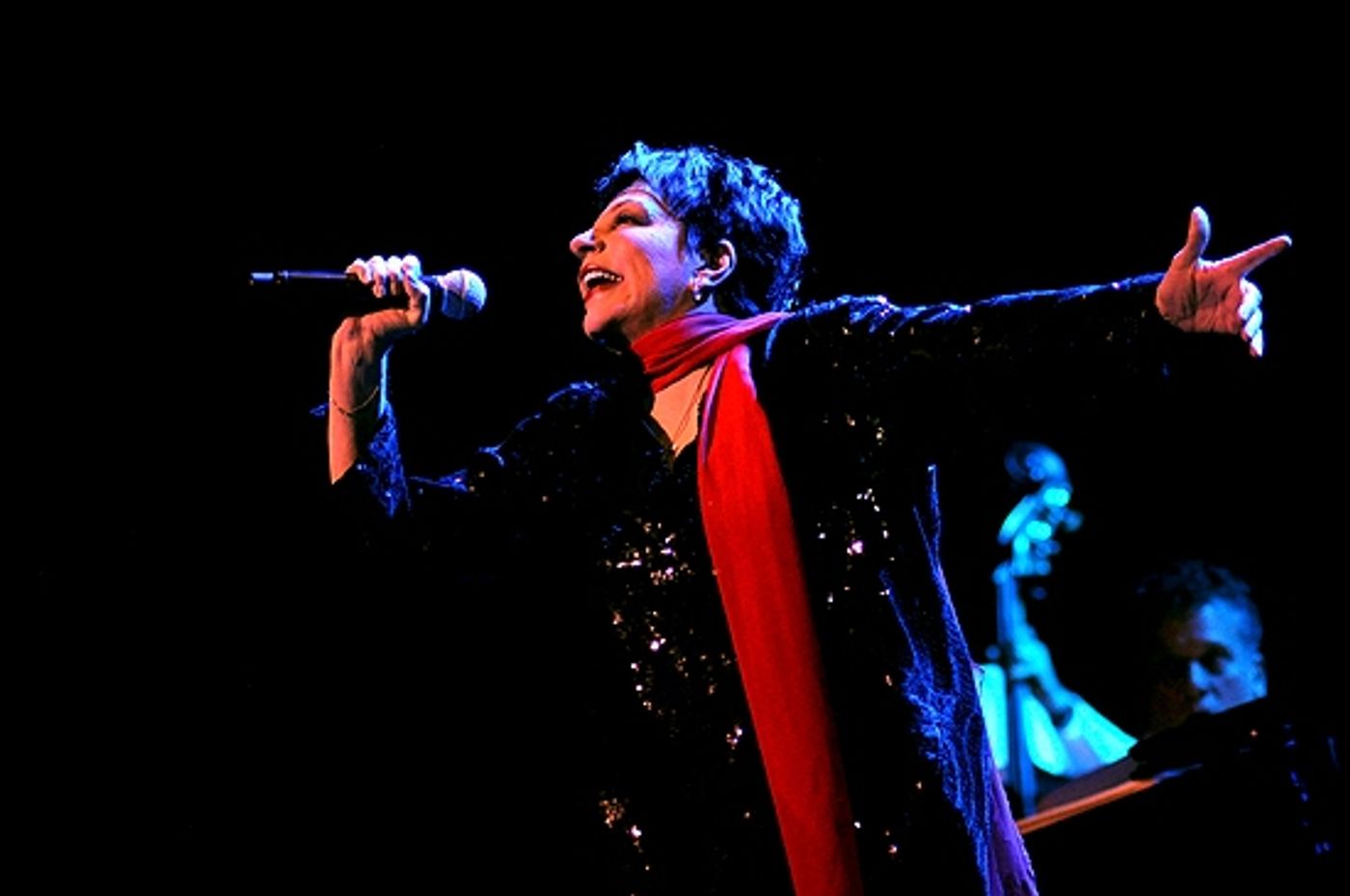 Photo Coverage: Liza Minnelli Returns to the Concert Stage!  Image