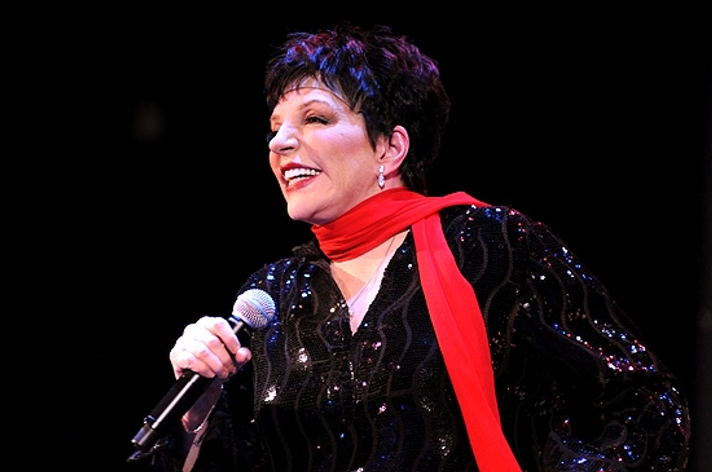 Photo Coverage: Liza Minnelli Returns to the Concert Stage!  Image