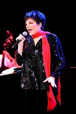 Liza Minnelli Photo