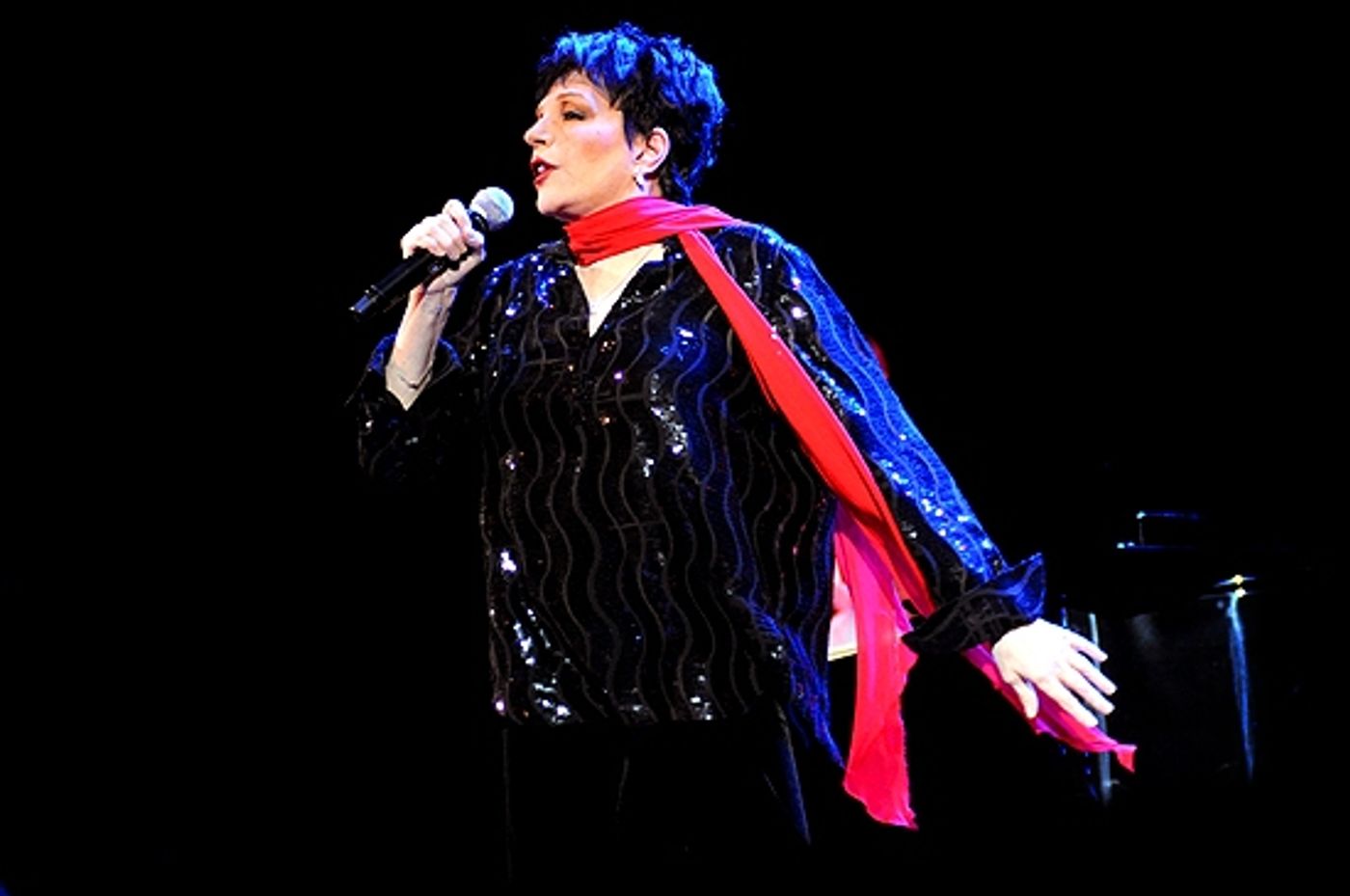 Photo Coverage: Liza Minnelli Returns to the Concert Stage!  Image