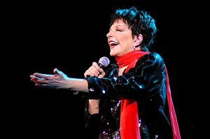 Liza Minnelli Photo