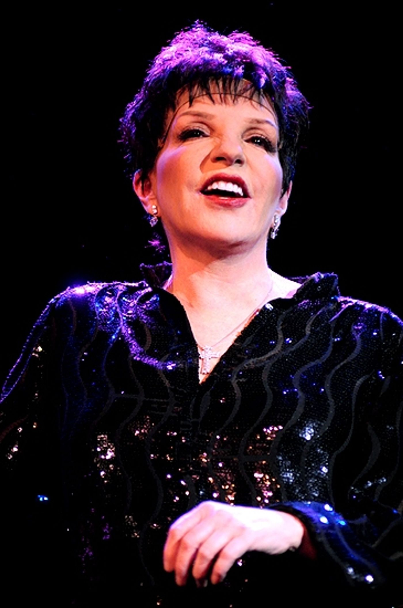 Photo Coverage: Liza Minnelli Returns to the Concert Stage!  Image