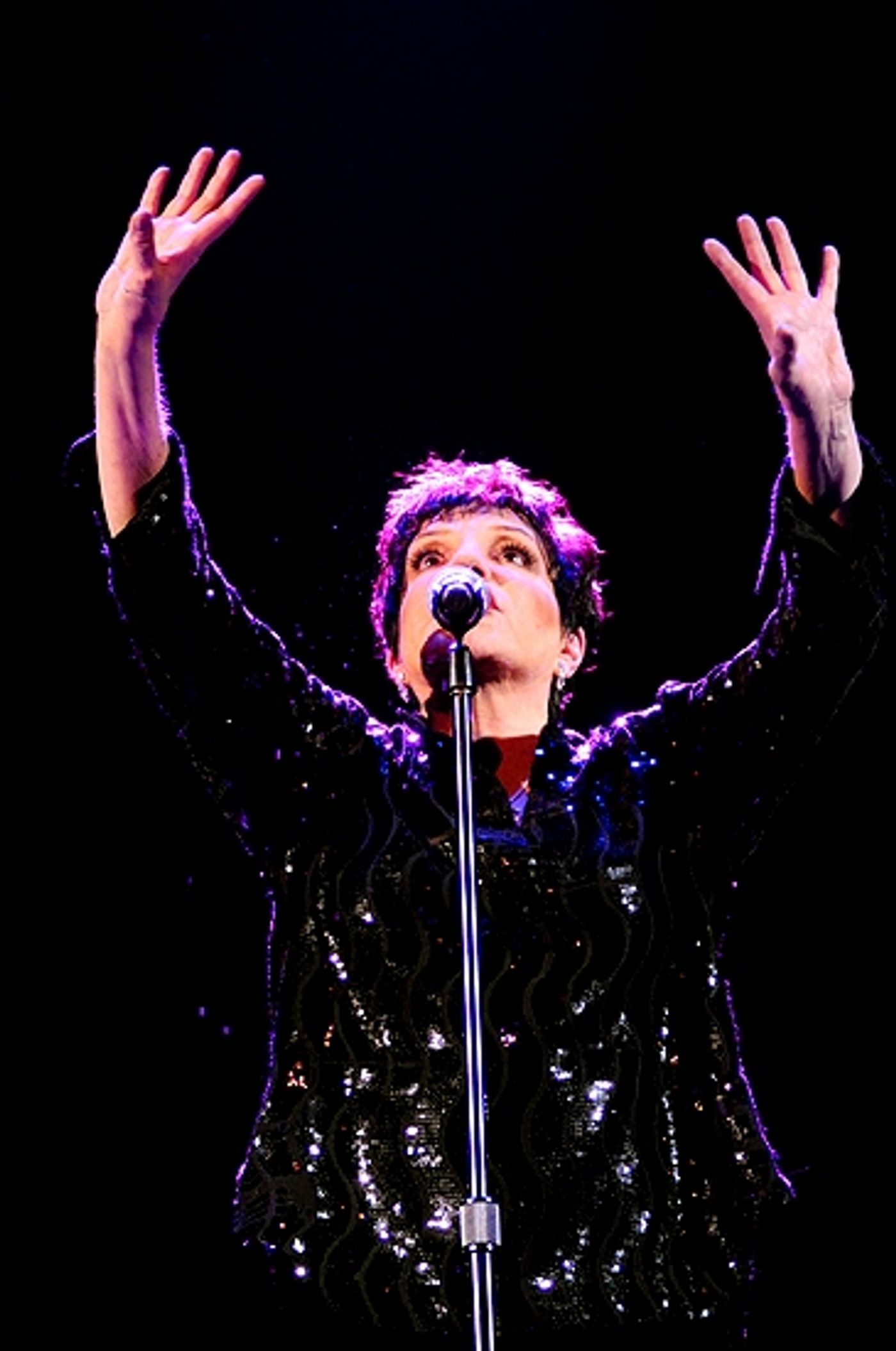 Photo Coverage: Liza Minnelli Returns to the Concert Stage!  Image