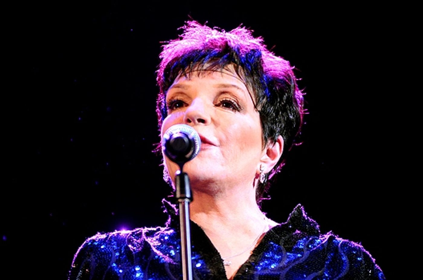 Photo Coverage: Liza Minnelli Returns to the Concert Stage!  Image