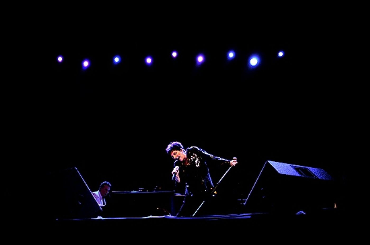 Photo Coverage: Liza Minnelli Returns to the Concert Stage!  Image