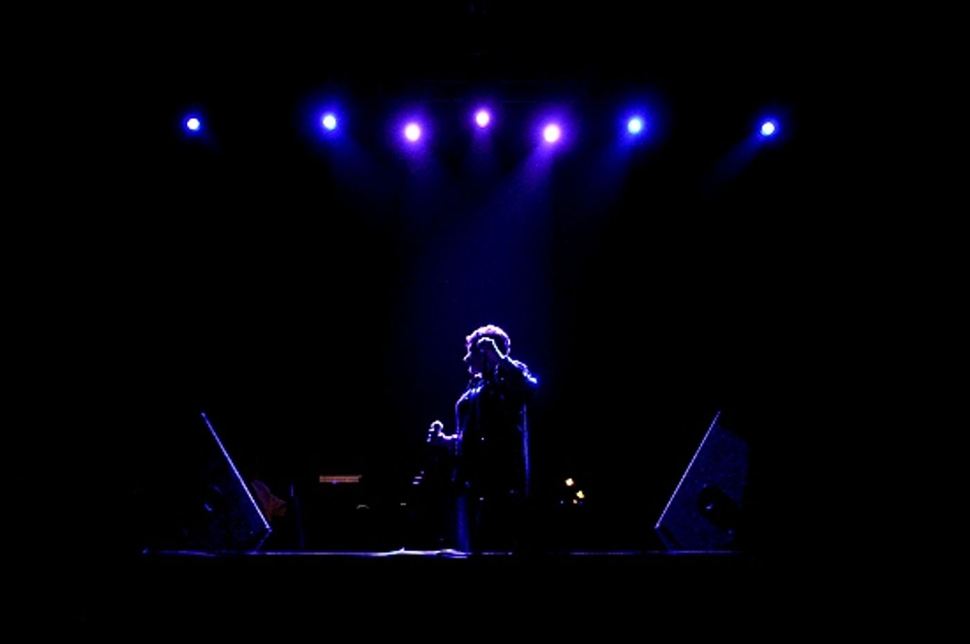 Photo Coverage: Liza Minnelli Returns to the Concert Stage!  Image