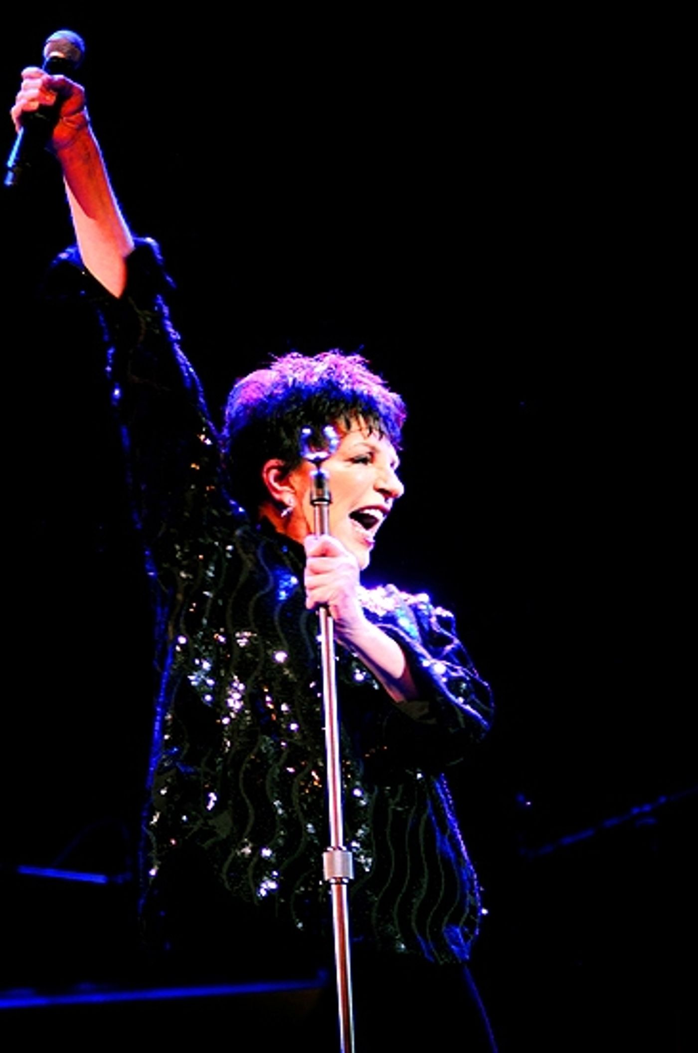 Photo Coverage: Liza Minnelli Returns to the Concert Stage!  Image