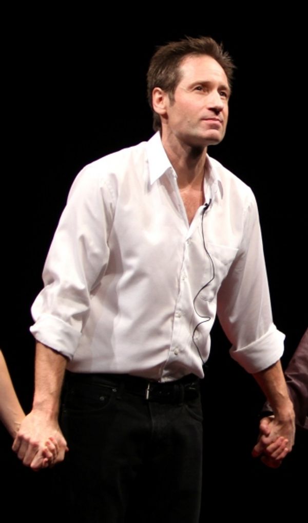 David Duchovny Photo