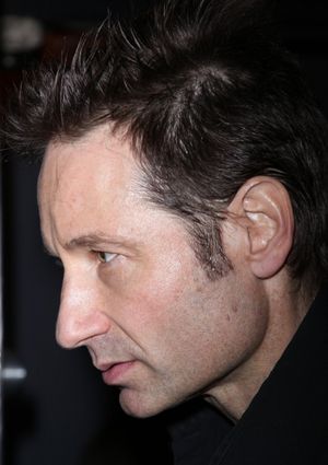 David Duchovny @ BroadwayWorld David Duchovny Photo
