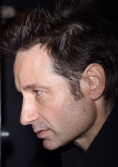 David Duchovny Photo