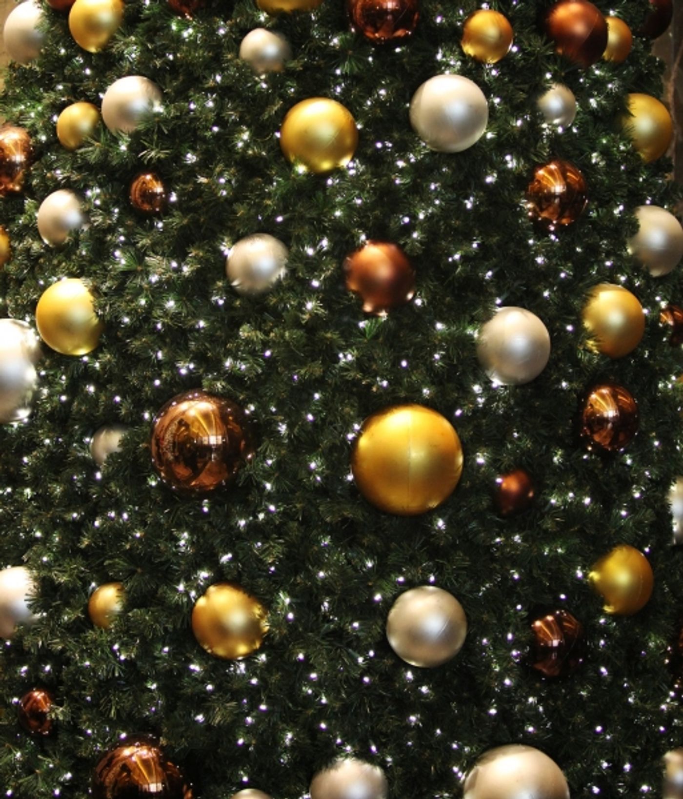 Photo Coverage: Jane Krakowski Lights Up the Empire State Building for Charity Photo Coverage: Jane Krakowski Lights Up the Empire State Building for Charity Image