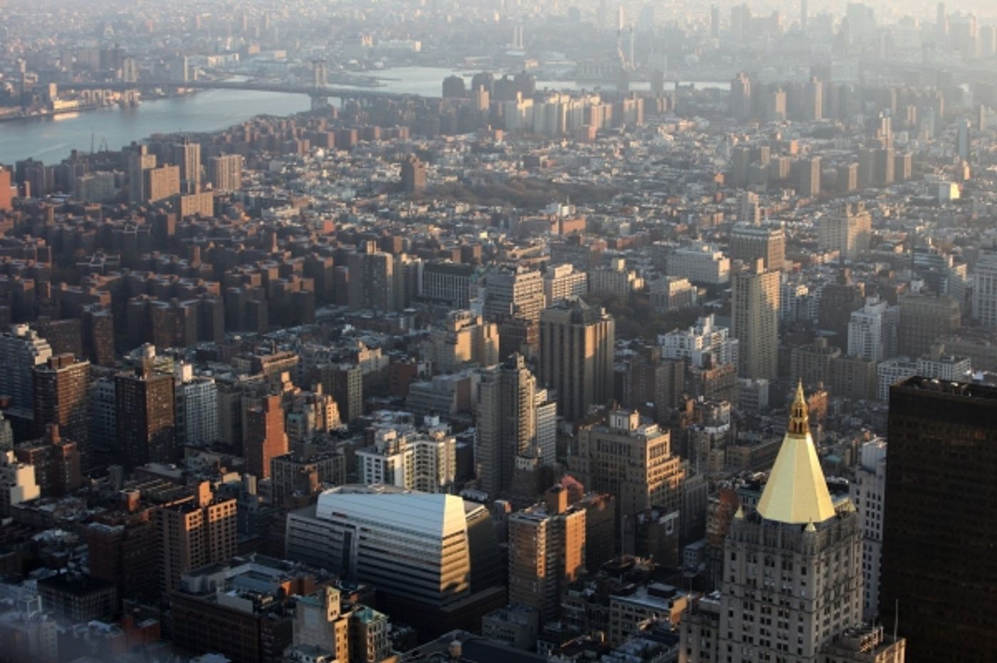 Photo Coverage: Jane Krakowski Lights Up the Empire State Building for Charity Photo Coverage: Jane Krakowski Lights Up the Empire State Building for Charity Image