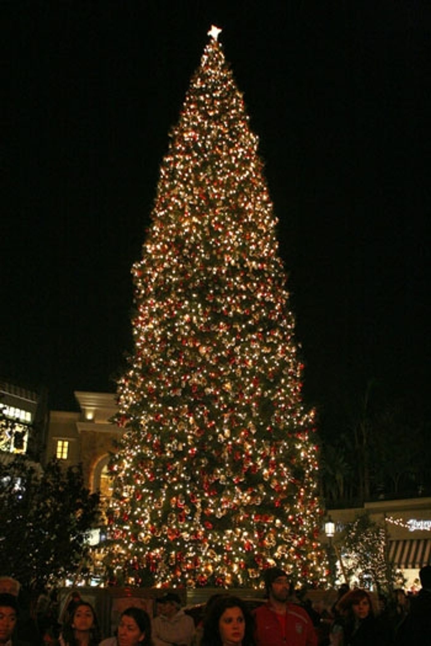 Photo Coverage: Christamas Tree Lighting Celebration with DWTS' Mark Ballas, Peabo Bryson, Warren, et al. Photo Coverage: Christamas Tree Lighting Celebration with DWTS' Mark Ballas, Peabo Bryson, Warren, et al. Image