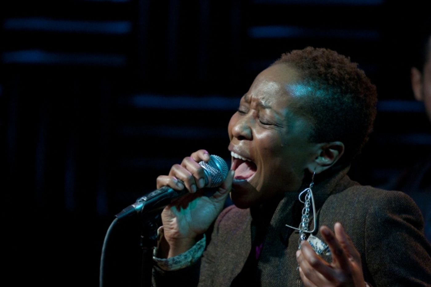 Photo Coverage: Sean Bradford Plays Joe's Pub Photo Coverage: Sean Bradford Plays Joe's Pub Image