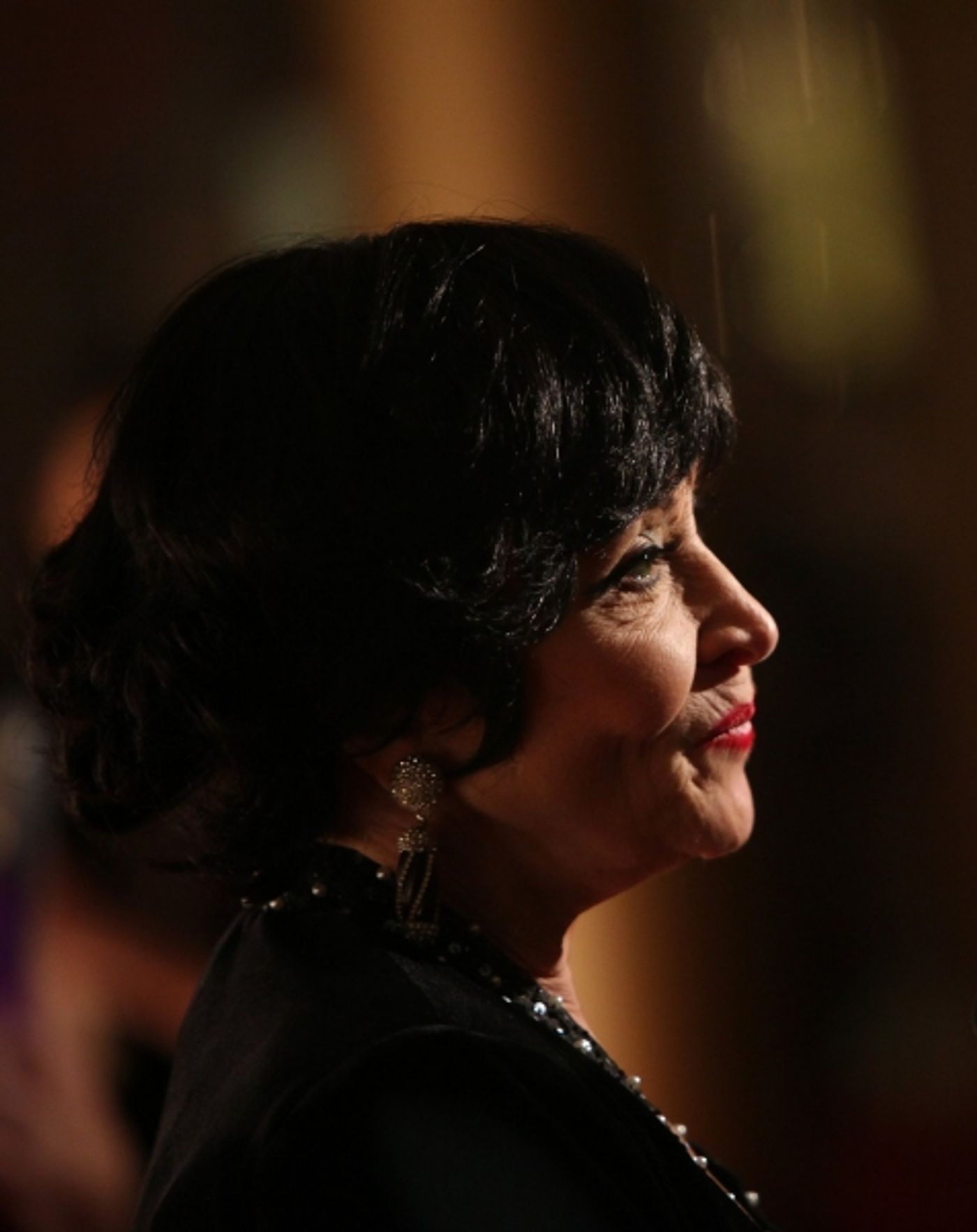 Photo Coverage: 2010 Kennedy Center Honors Red Carpet Part 1  Image