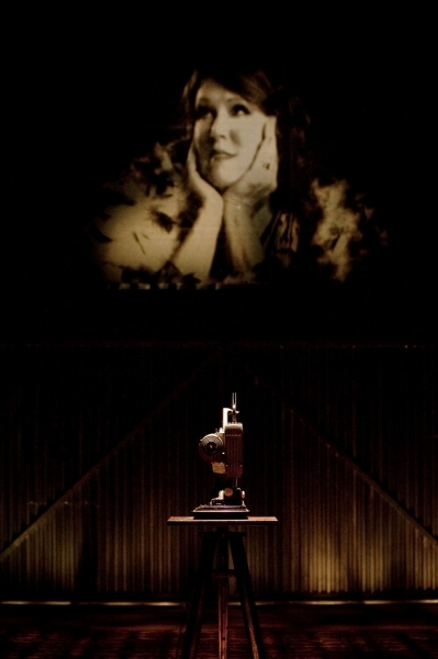 Photo Flash: Signature Theater Presents Sunset Boulevard  Image