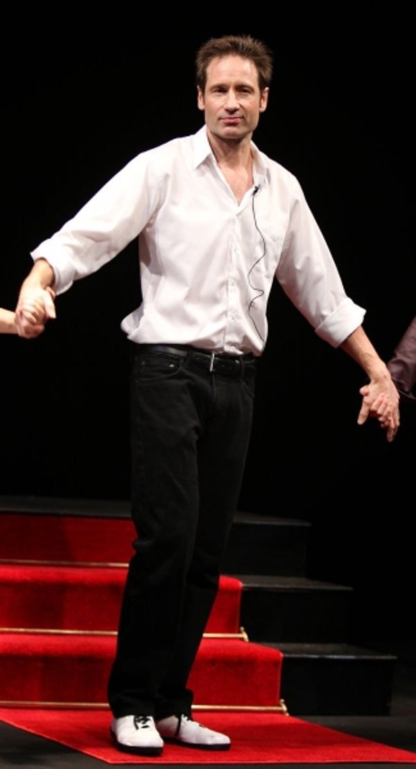 David Duchovny - 