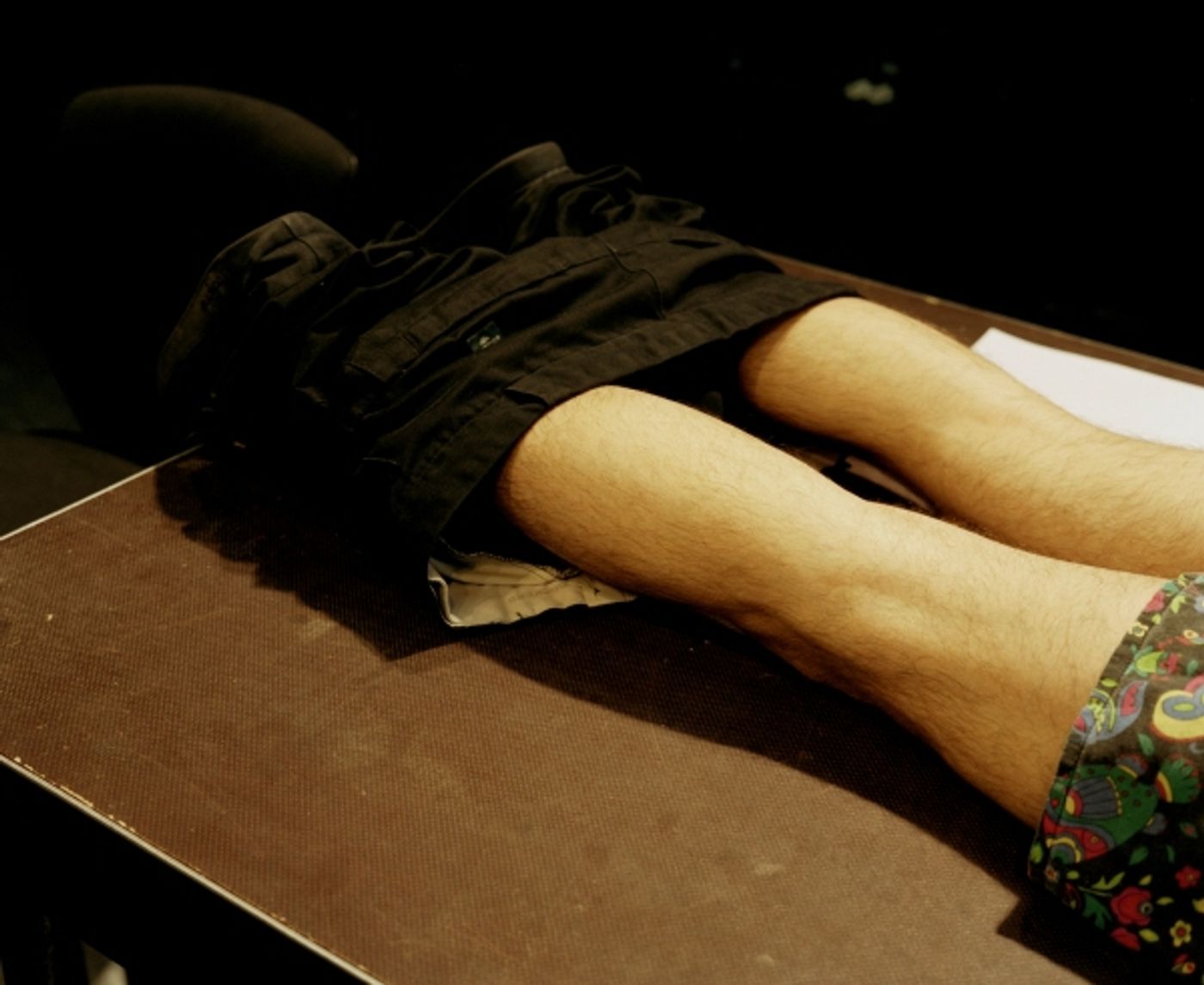 Photo Flash: Public Theater's UNDER THE RADAR 2011 Photo Flash: Public Theater's UNDER THE RADAR 2011 Image