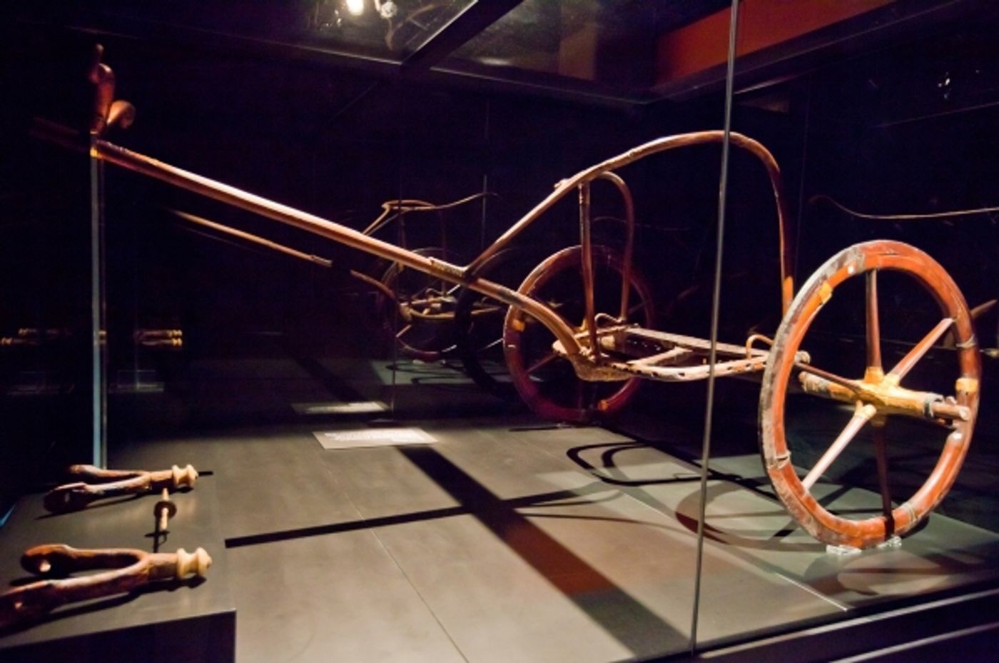 Photo Flash: King Tut Times Square Exhibition  Image