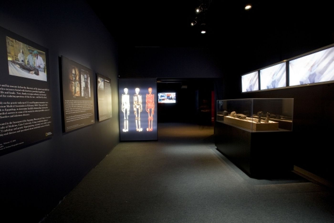 Photo Flash: King Tut Times Square Exhibition  Image