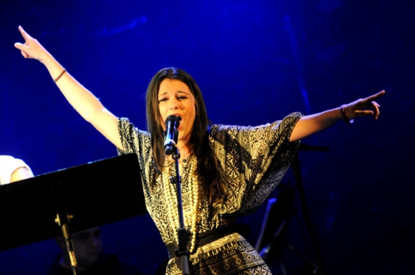 Photo Coverage: MY FAVORITE THINGS Benefit Concert  Image