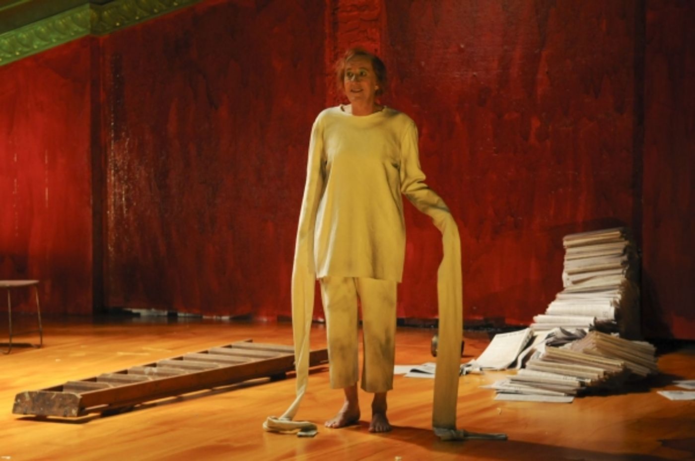 Photo Flash: Geoffrey Rush in BAM's DIARY OF A MADMAN  Image