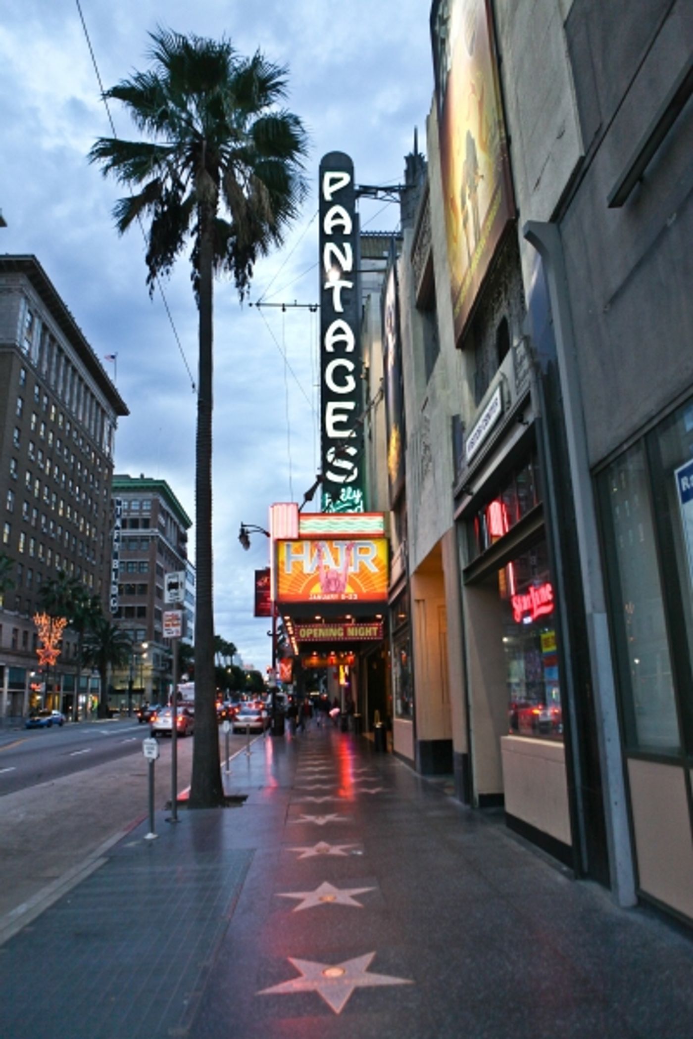 Photo Flash: Vereen, Ferguson & More Attend HAIR! Opening In LA  Image