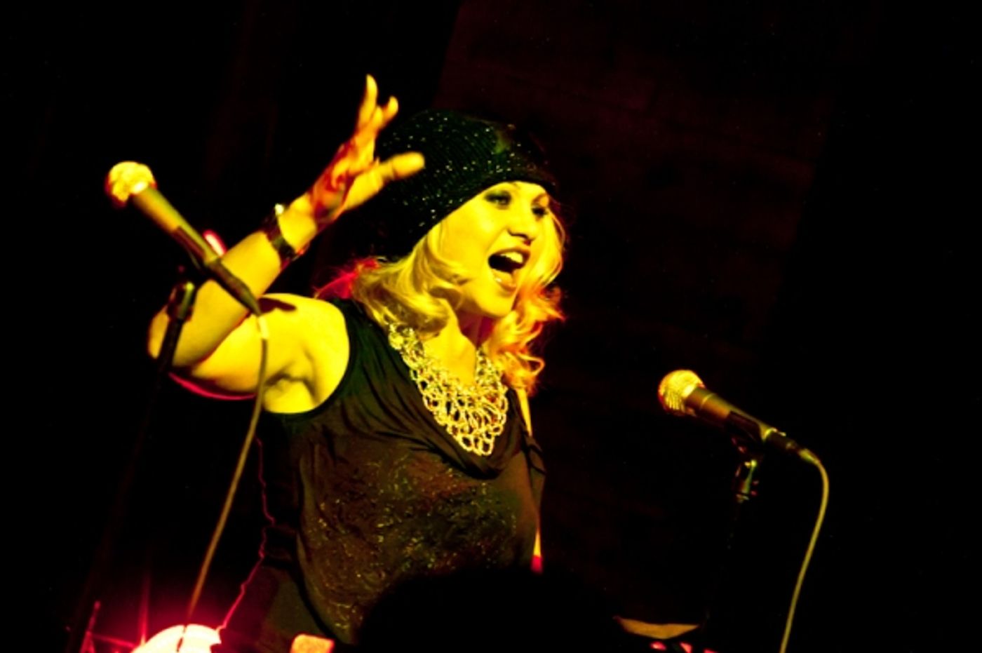 Photo Flash: Hurlbert, Chase, et al. Gather for Jamail Concert  Image