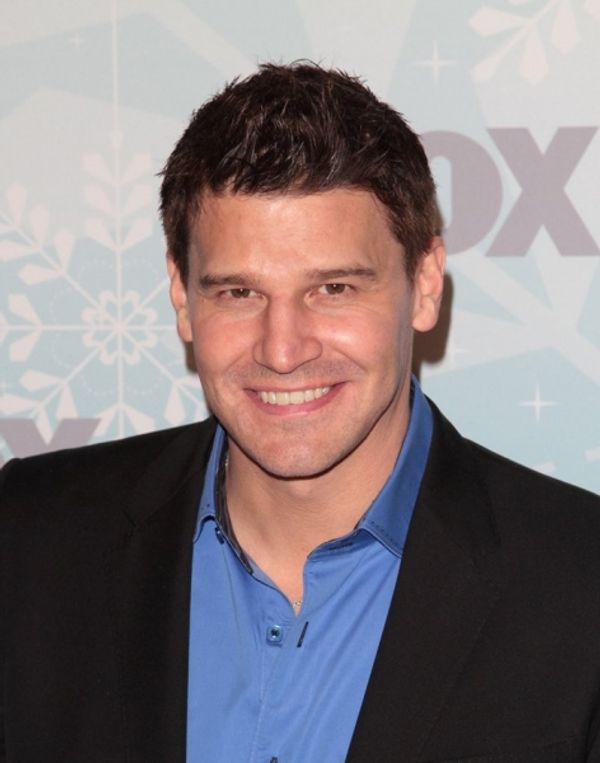 David Boreanaz Photo
