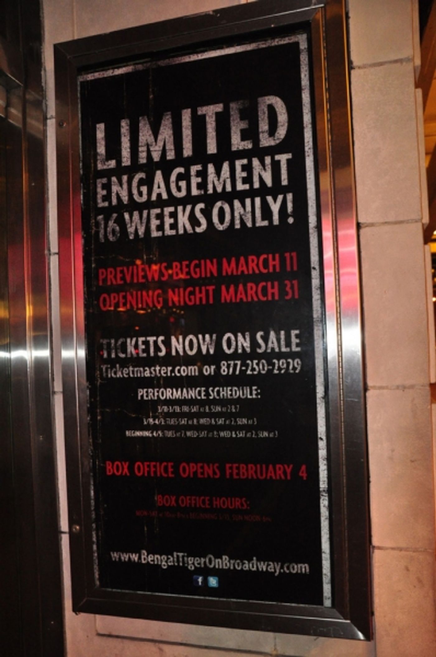 Photo Coverage: UP ON THE MARQUEE: BENGAL TIGER AT THE BAGHDAD ZOO  Image