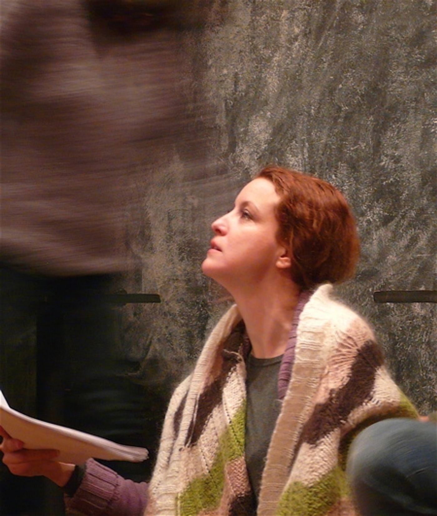 Photo Flash: Kristen Palmer's THE STRAY DOG  Image