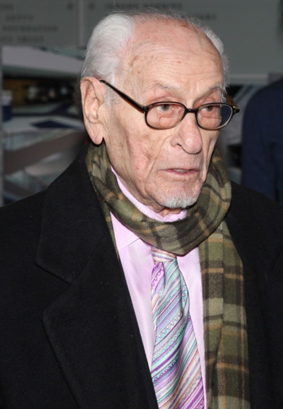 Eli Wallach attends the reception and unveiling for the Al Hirschfeld permanent installation at The New York Public Library for Performing Arts in New York City. at 