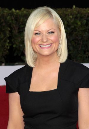Amy Poehler pictured at the 17th Annual Screen Actors Guild Awards held at The Shrine Auditorium in Los Angeles, California on January 30, 2011 @ BroadwayWorld Amy Poehler pictured at the 17th Annual Screen Actors Guild Awards held at The Shrine Photo