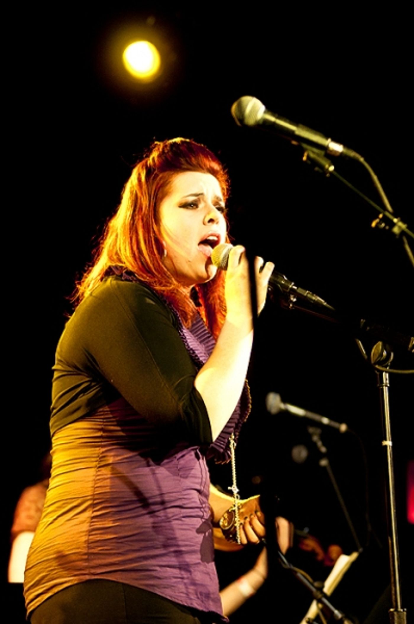 Photo Flash: Jones, Osnes, et al. Sing Kerrigan & Lowdermilk  at CD Release Concert  Image