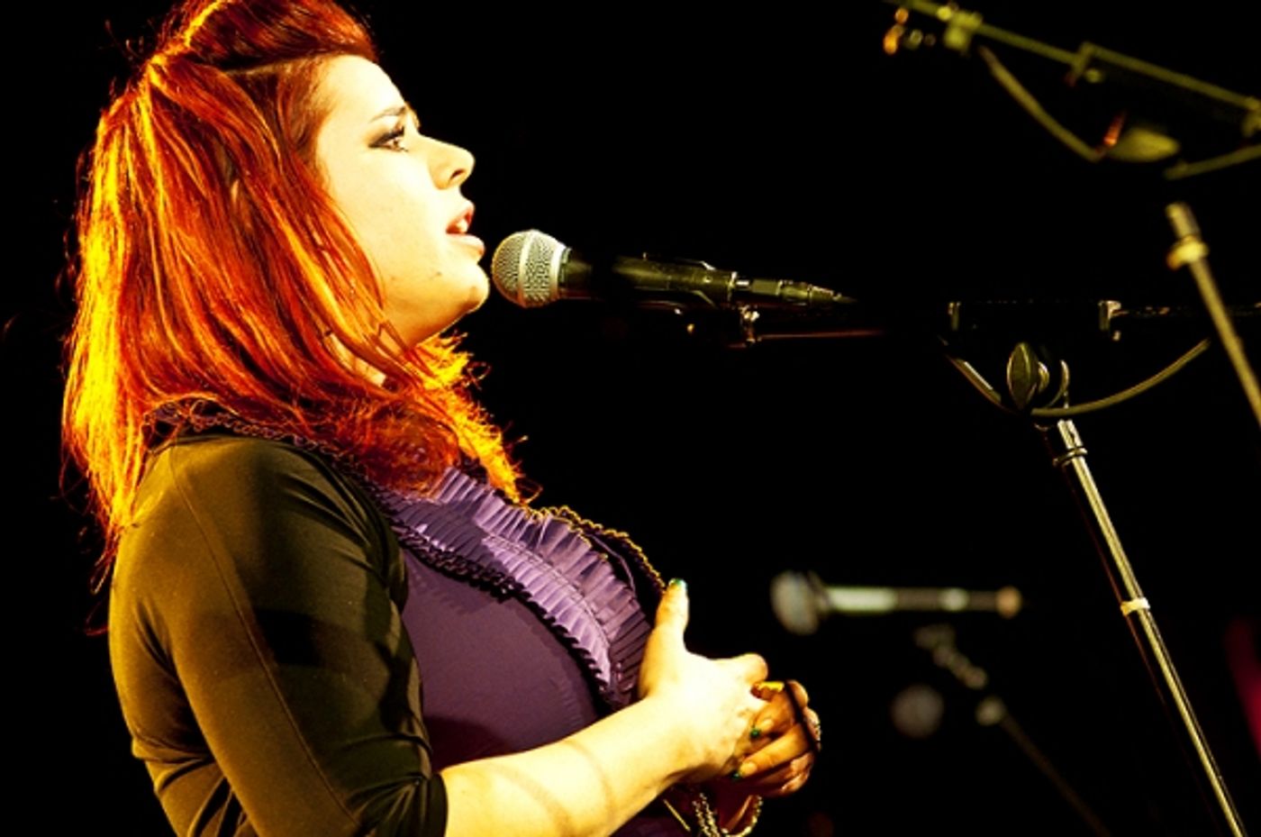 Photo Flash: Jones, Osnes, et al. Sing Kerrigan & Lowdermilk  at CD Release Concert  Image