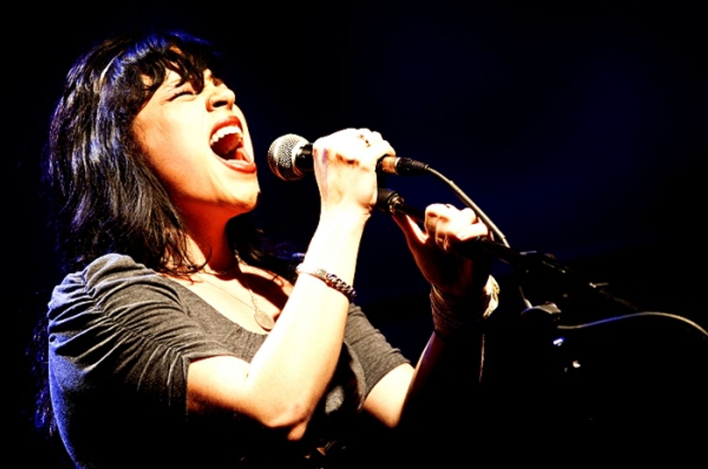 Photo Flash: Jones, Osnes, et al. Sing Kerrigan & Lowdermilk  at CD Release Concert  Image