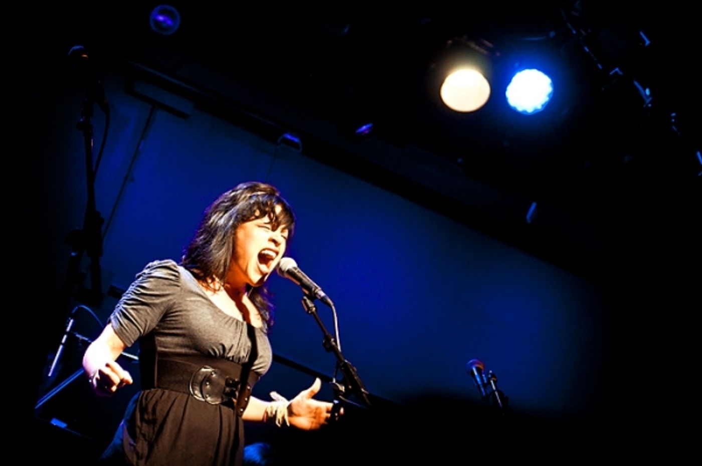 Photo Flash: Jones, Osnes, et al. Sing Kerrigan & Lowdermilk  at CD Release Concert  Image