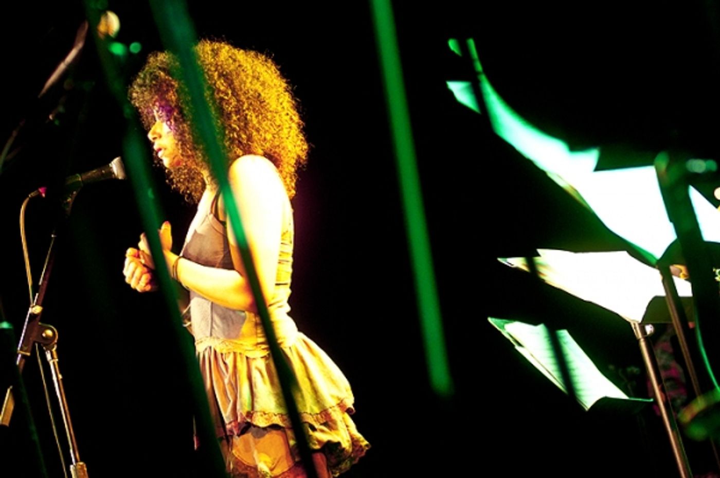 Photo Flash: Jones, Osnes, et al. Sing Kerrigan & Lowdermilk  at CD Release Concert  Image