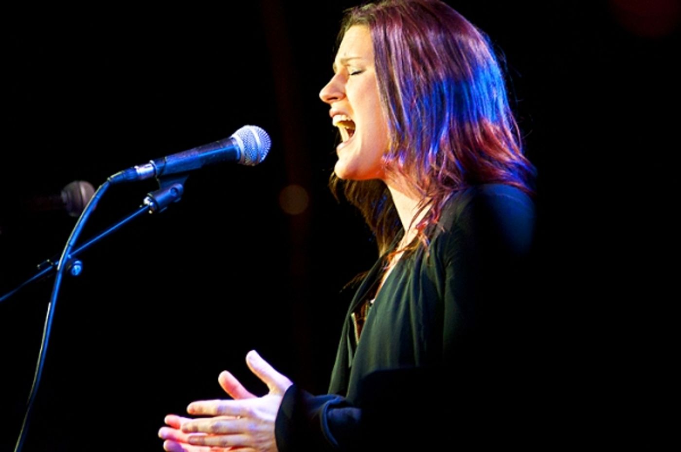 Photo Flash: Doyle, Umphress, et al. Sing Jonathan Reid Gealt  at CD Release Concert  Image