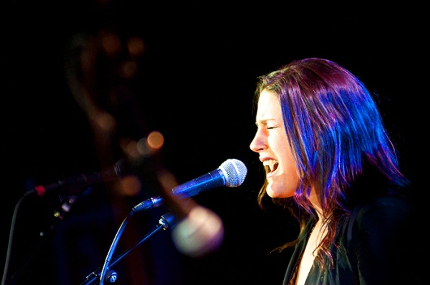 Photo Flash: Doyle, Umphress, et al. Sing Jonathan Reid Gealt  at CD Release Concert  Image