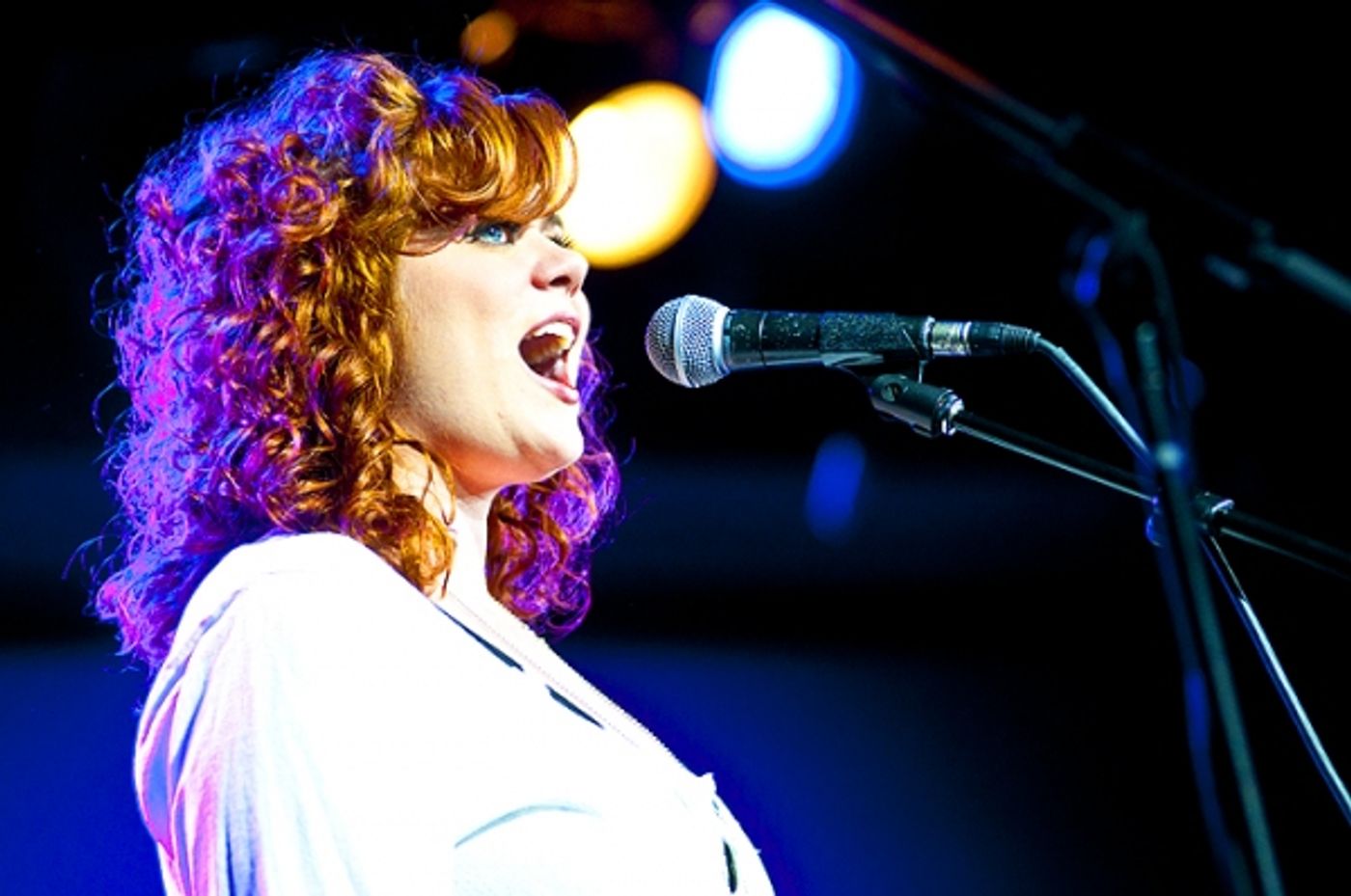 Photo Flash: Doyle, Umphress, et al. Sing Jonathan Reid Gealt  at CD Release Concert  Image