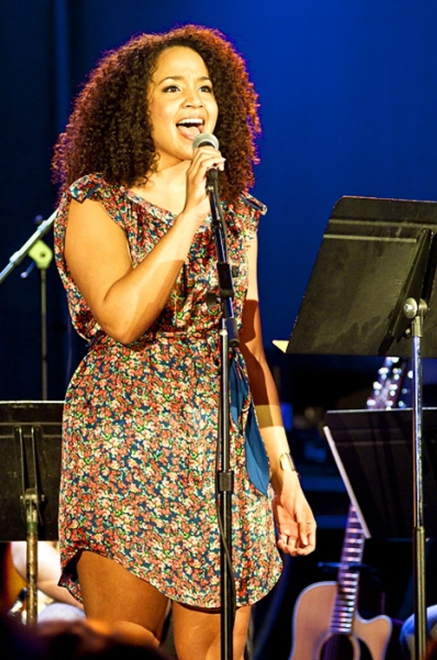 Photo Flash: Doyle, Umphress, et al. Sing Jonathan Reid Gealt  at CD Release Concert Image