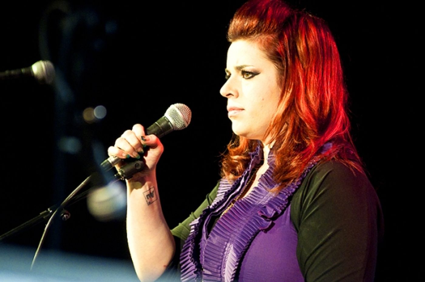 Photo Flash: Doyle, Umphress, et al. Sing Jonathan Reid Gealt  at CD Release Concert  Image