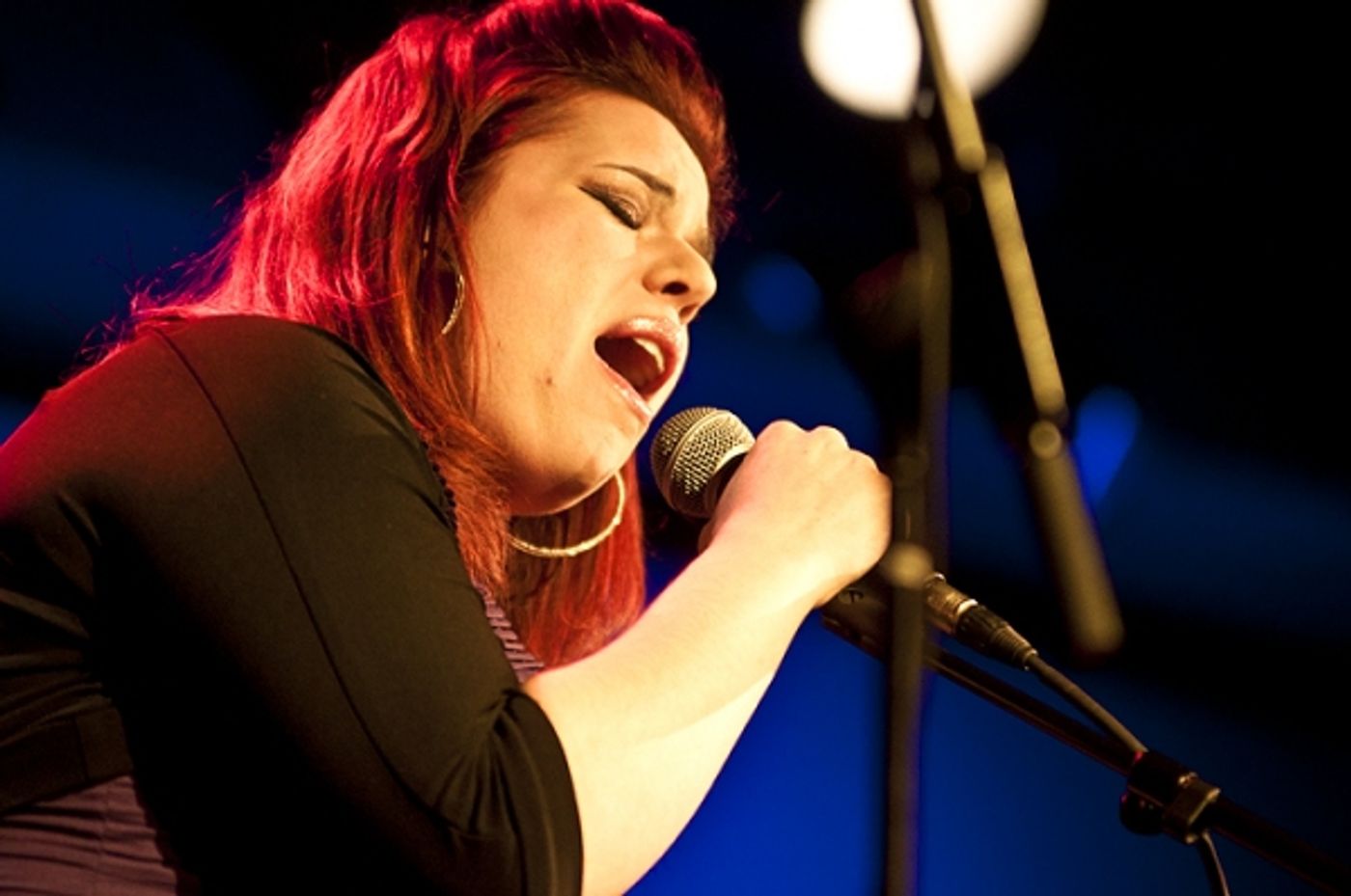 Photo Flash: Doyle, Umphress, et al. Sing Jonathan Reid Gealt  at CD Release Concert  Image