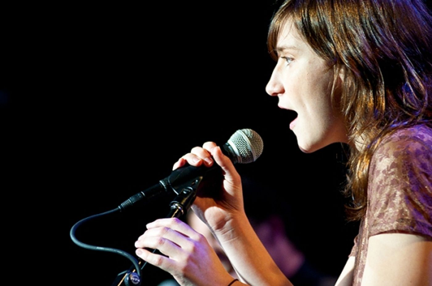 Photo Flash: Doyle, Umphress, et al. Sing Jonathan Reid Gealt  at CD Release Concert  Image